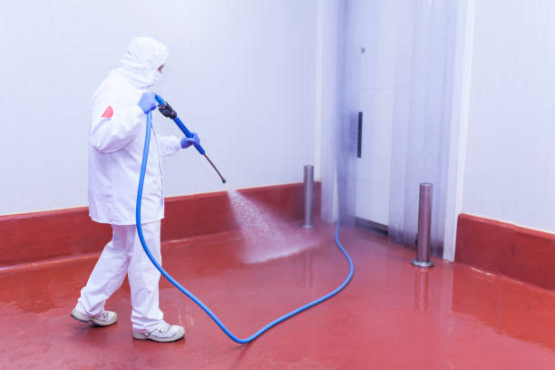 Best Graffiti Removal  in Geneva, NY